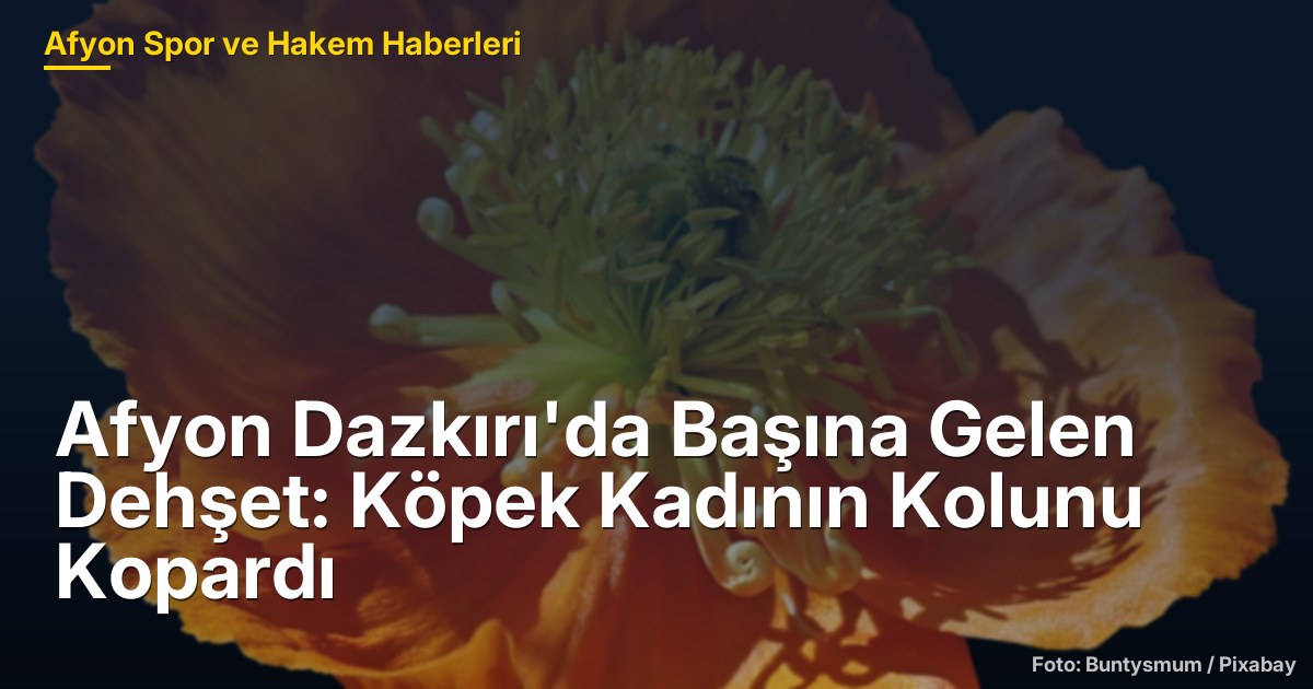 Afyon Dazkırı'da Başına Gelen Dehşet: Köpek Kadının Kolunu Kopardı