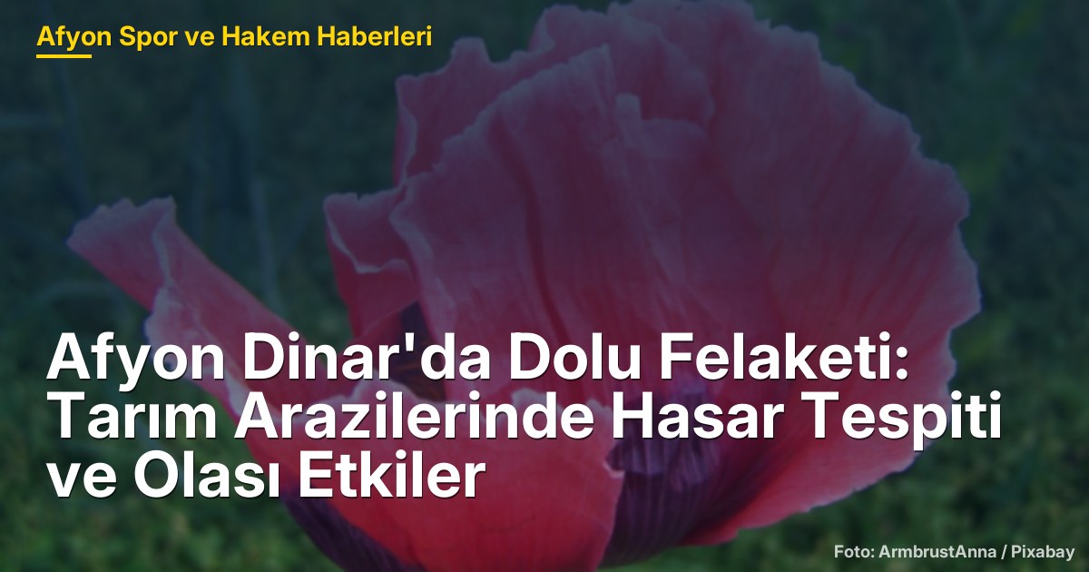 Afyon Dinar'da Dolu Felaketi: Tarım Arazilerinde Hasar Tespiti ve Olası Etkiler
