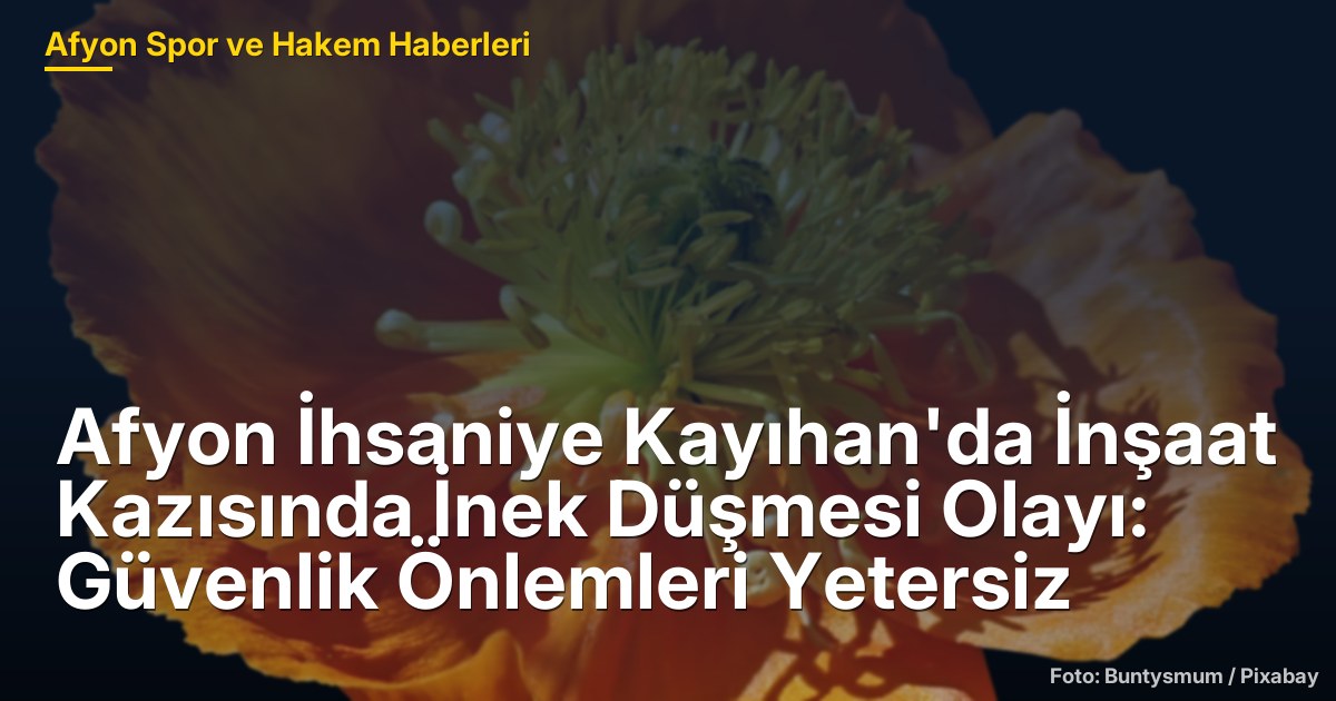 Afyon İhsaniye Kayıhan'da İnşaat Kazısında İnek Düşmesi Olayı: Güvenlik Önlemleri Yetersiz