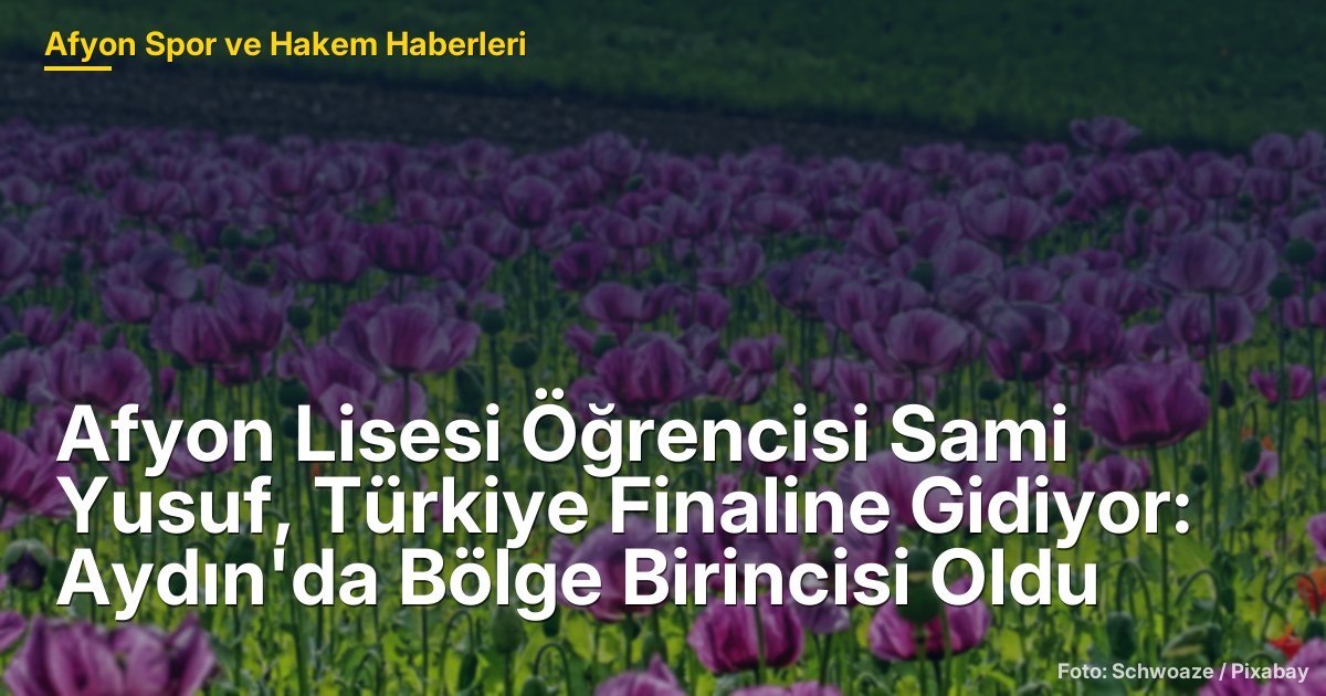 Afyon Lisesi Öğrencisi Sami Yusuf, Türkiye Finaline Gidiyor: Aydın'da Bölge Birincisi Oldu