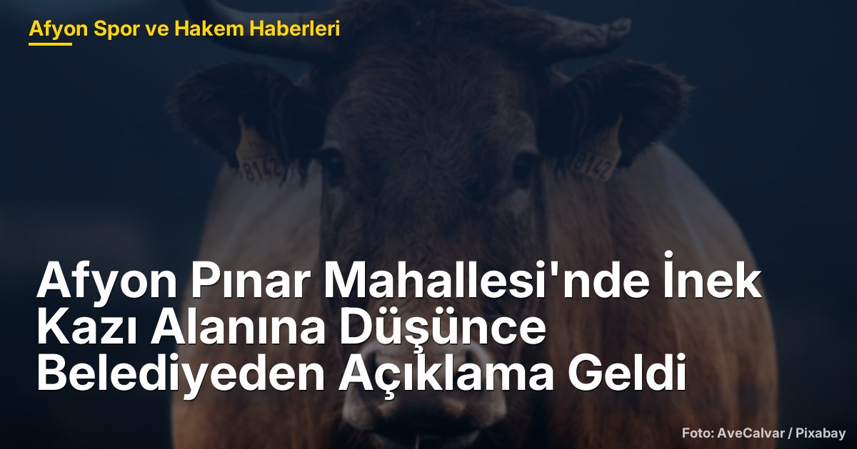 Afyon Pınar Mahallesi'nde İnek Kazı Alanına Düşünce Belediyeden Açıklama Geldi