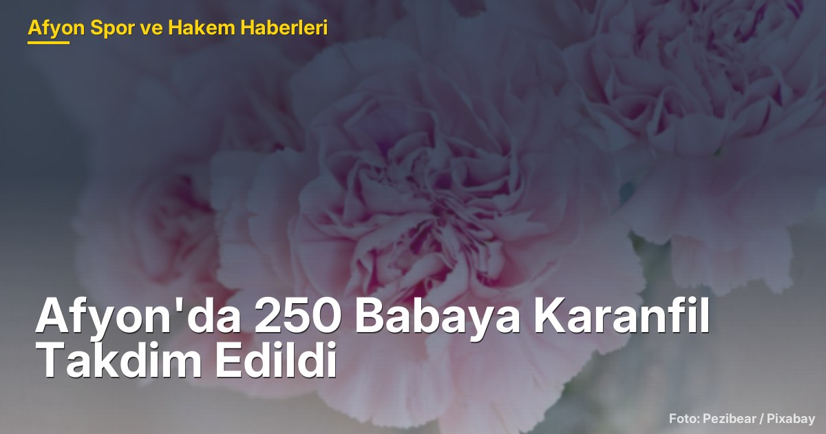 Afyon'da 250 Babaya Karanfil Takdim Edildi