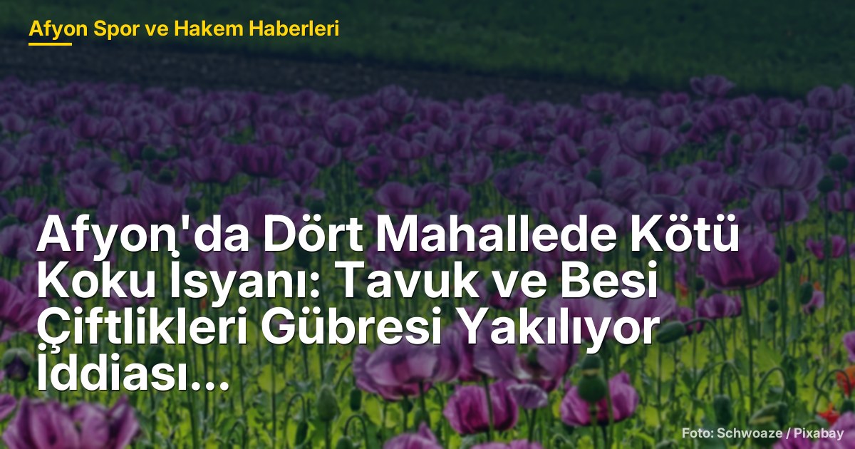 Afyon'da Dört Mahallede Kötü Koku İsyanı: Tavuk ve Besi Çiftlikleri Gübresi Yakılıyor İddiası