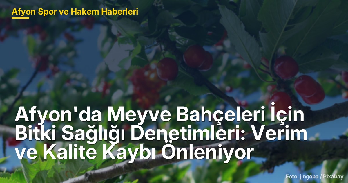 Afyon'da Meyve Bahçeleri İçin Bitki Sağlığı Denetimleri: Verim ve Kalite Kaybı Önleniyor