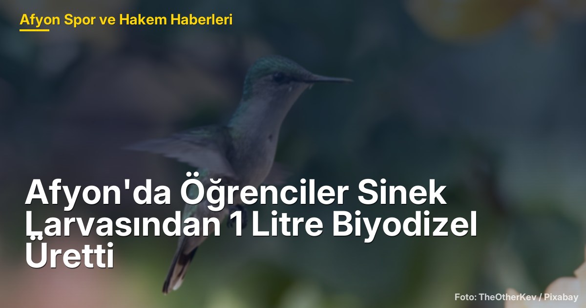 Afyon'da Öğrenciler Sinek Larvasından 1 Litre Biyodizel Üretti