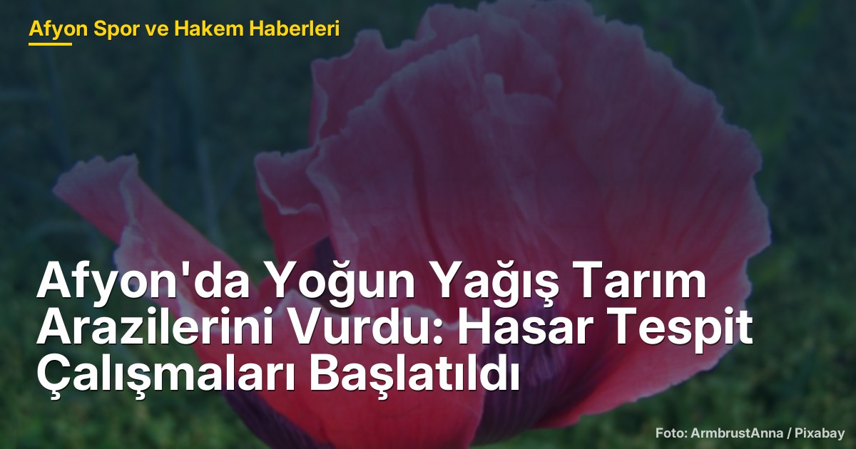 Afyon'da Yoğun Yağış Tarım Arazilerini Vurdu: Hasar Tespit Çalışmaları Başlatıldı