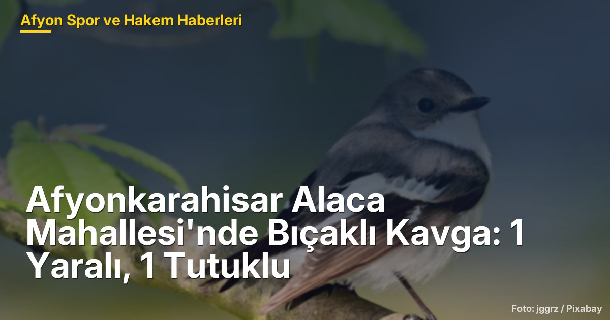Afyonkarahisar Alaca Mahallesi'nde Bıçaklı Kavga: 1 Yaralı, 1 Tutuklu