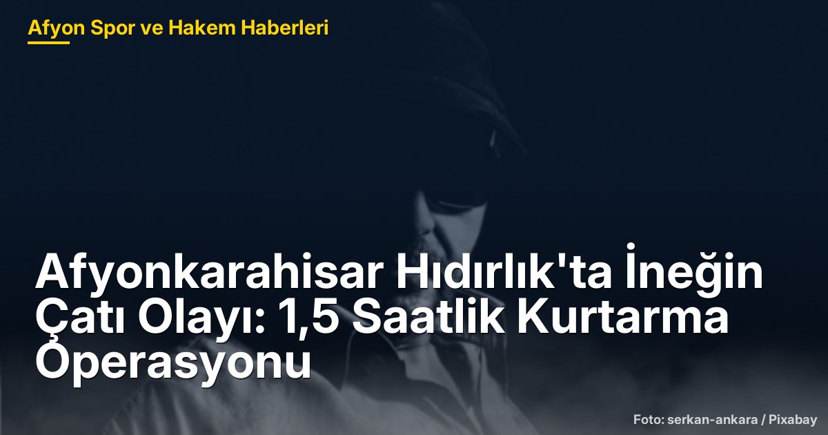 Afyonkarahisar Hıdırlık'ta İneğin Çatı Olayı: 1,5 Saatlik Kurtarma Operasyonu