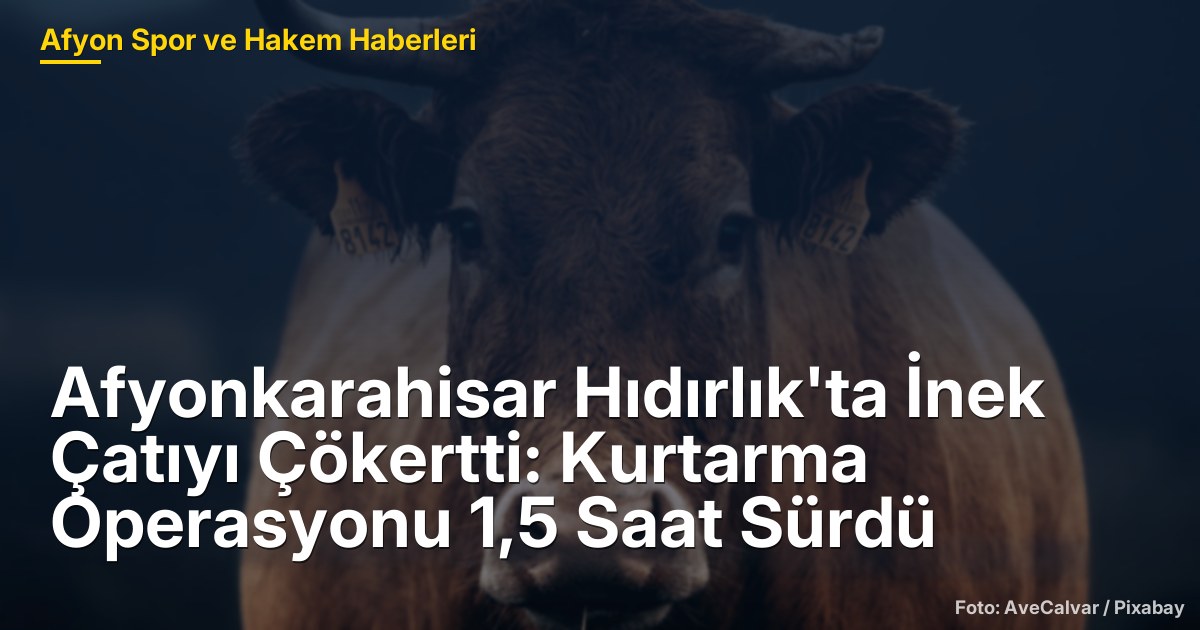 Afyonkarahisar Hıdırlık'ta İnek Çatıyı Çökertti: Kurtarma Operasyonu 1,5 Saat Sürdü