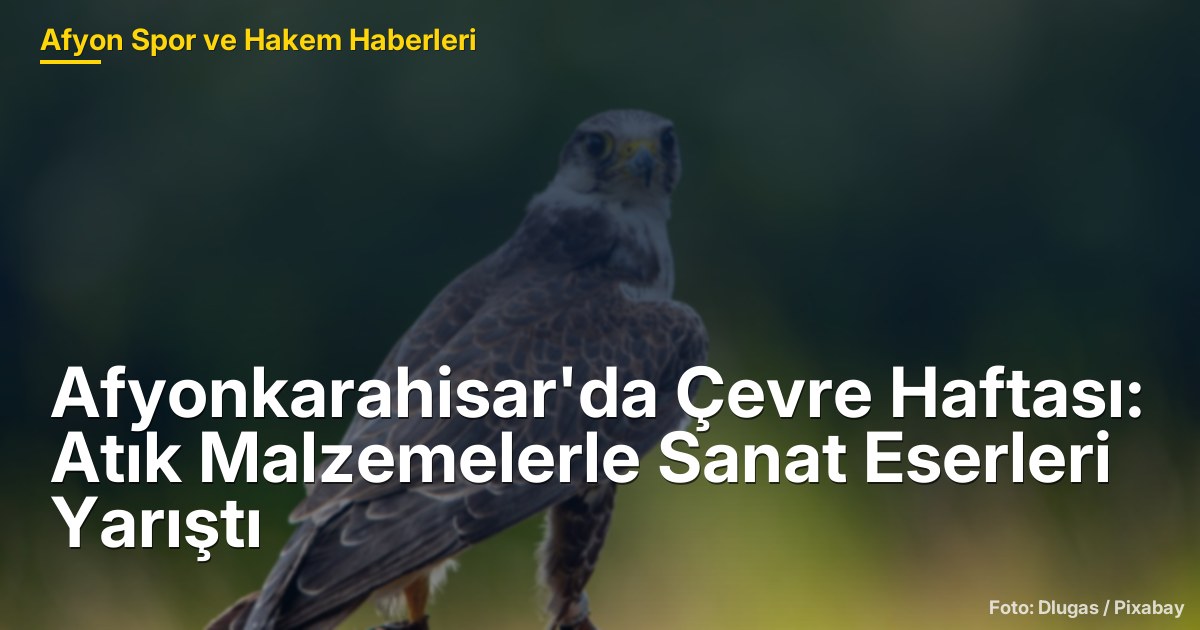 Afyonkarahisar'da Çevre Haftası: Atık Malzemelerle Sanat Eserleri Yarıştı