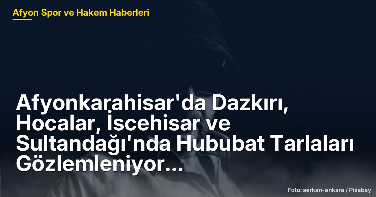 Afyonkarahisar'da Dazkırı, Hocalar, İscehisar ve Sultandağı'nda Hububat Tarlaları Gözlemleniyor