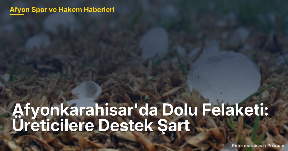Afyonkarahisar'da Dolu Felaketi: Üreticilere Destek Şart