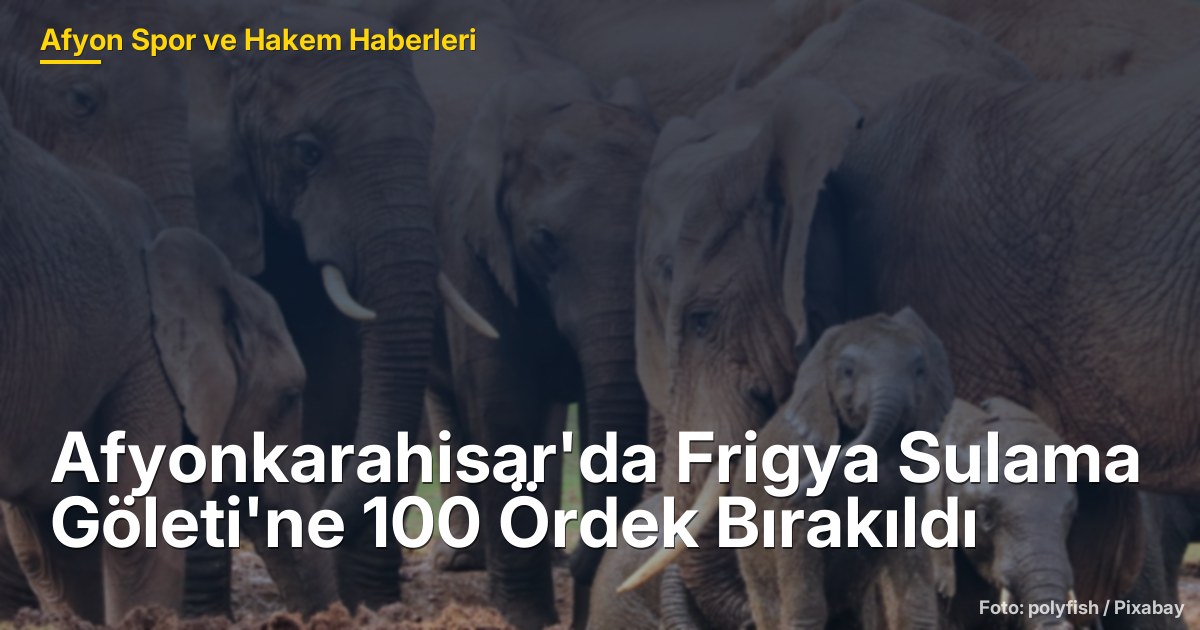 Afyonkarahisar'da Frigya Sulama Göleti'ne 100 Ördek Bırakıldı
