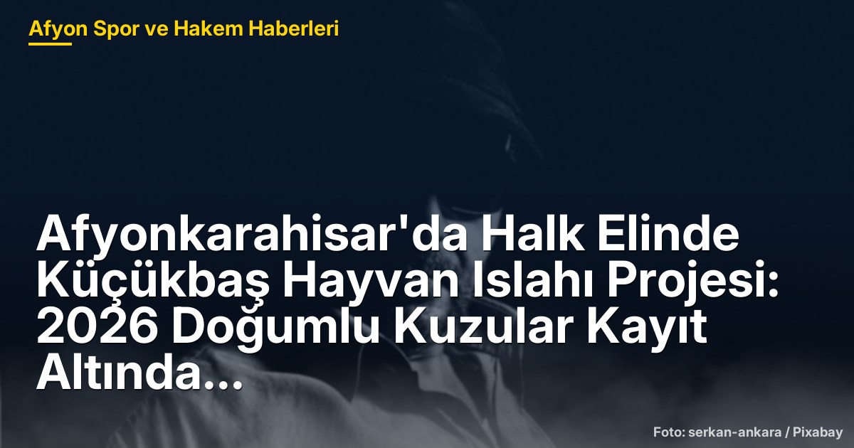 Afyonkarahisar'da Halk Elinde Küçükbaş Hayvan Islahı Projesi: 2026 Doğumlu Kuzular Kayıt Altında