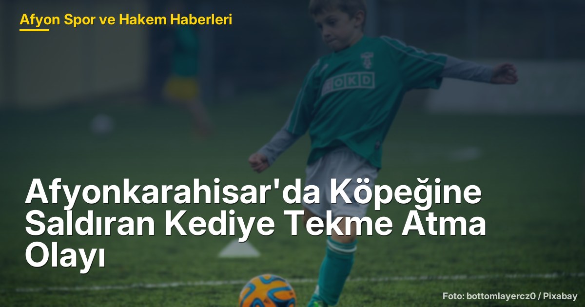 Afyonkarahisar'da Köpeğine Saldıran Kediye Tekme Atma Olayı