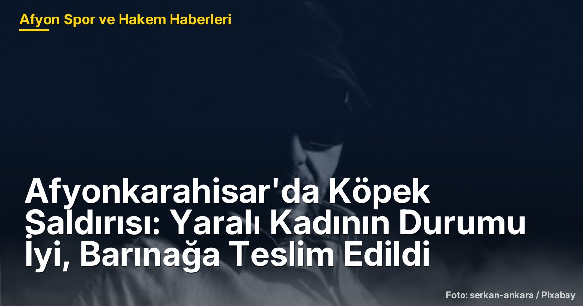 Afyonkarahisar'da Köpek Saldırısı: Yaralı Kadının Durumu İyi, Barınağa Teslim Edildi