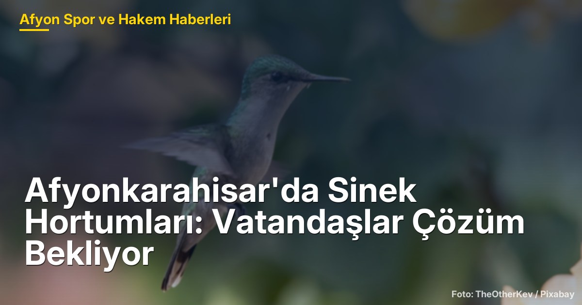 Afyonkarahisar'da Sinek Hortumları: Vatandaşlar Çözüm Bekliyor