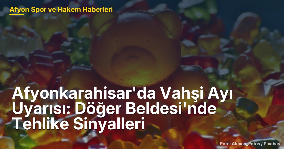 Afyonkarahisar'da Vahşi Ayı Uyarısı: Döğer Beldesi'nde Tehlike Sinyalleri