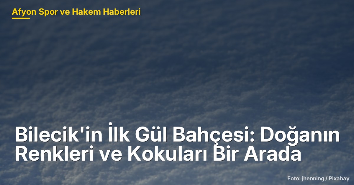 Bilecik'in İlk Gül Bahçesi: Doğanın Renkleri ve Kokuları Bir Arada