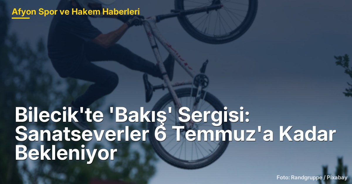 Bilecik'te 'Bakış' Sergisi: Sanatseverler 6 Temmuz'a Kadar Bekleniyor