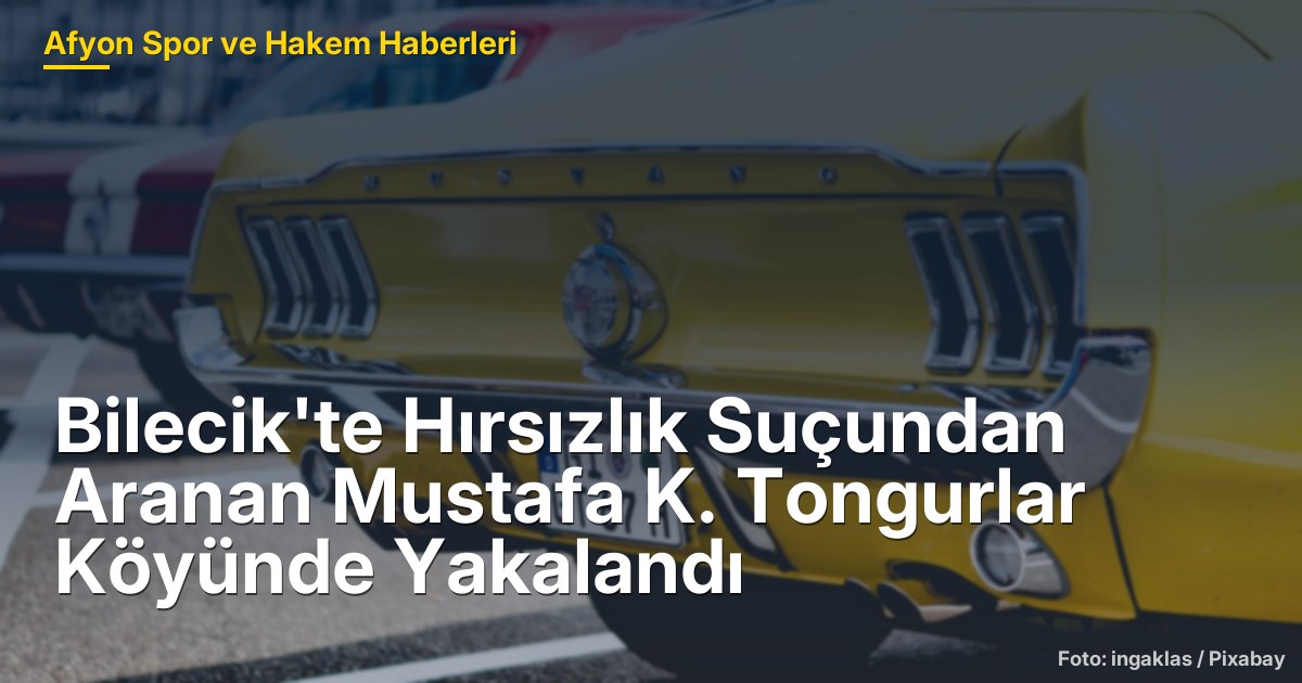 Bilecik'te Hırsızlık Suçundan Aranan Mustafa K. Tongurlar Köyünde Yakalandı