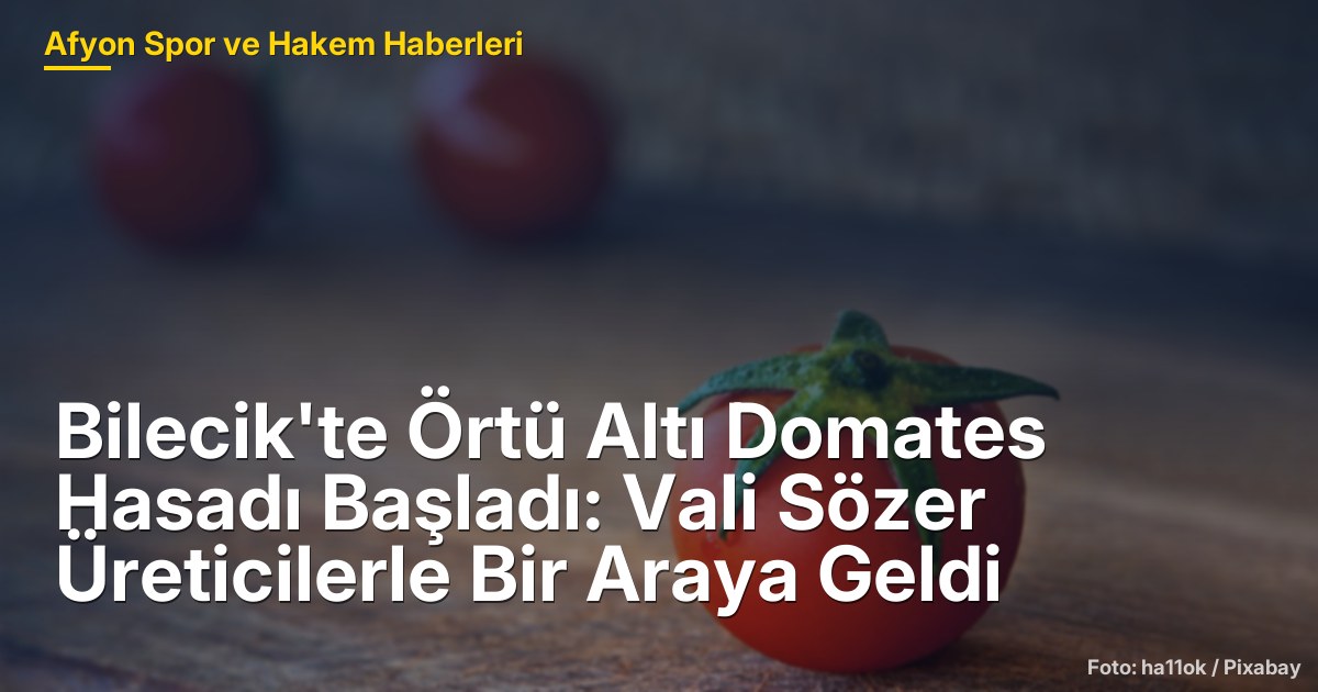 Bilecik'te Örtü Altı Domates Hasadı Başladı: Vali Sözer Üreticilerle Bir Araya Geldi