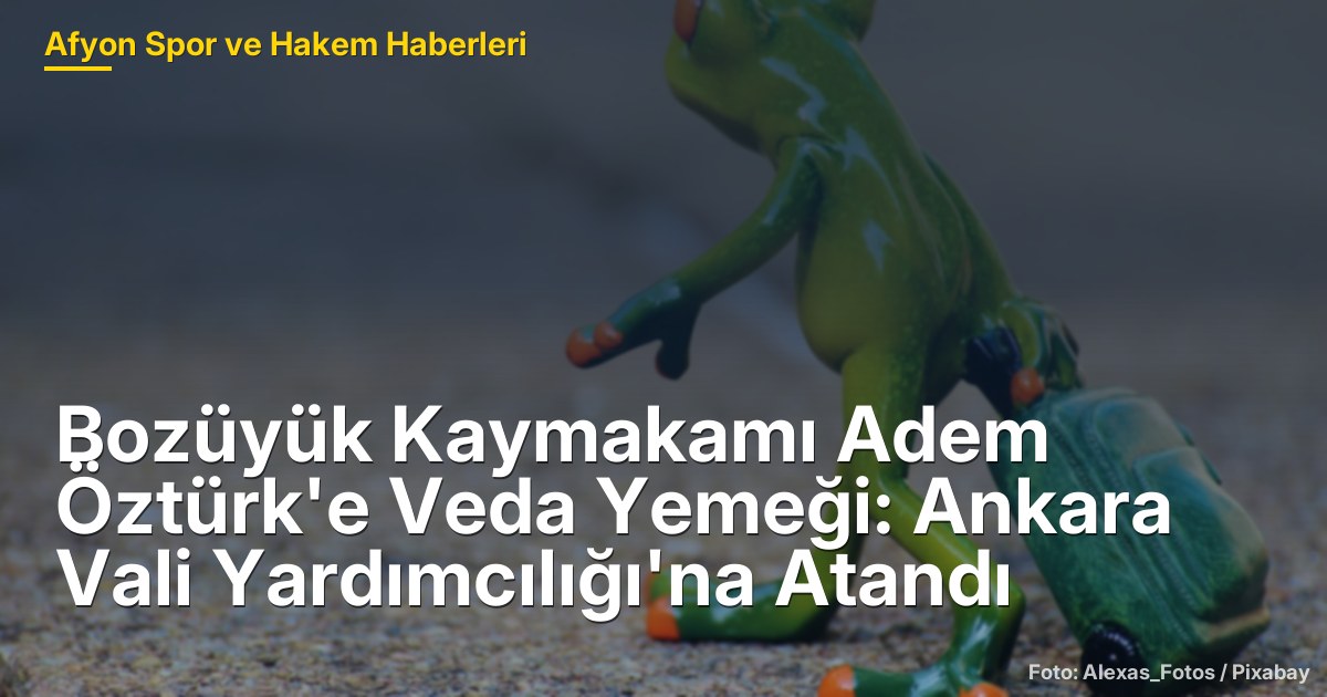 Bozüyük Kaymakamı Adem Öztürk'e Veda Yemeği: Ankara Vali Yardımcılığı'na Atandı