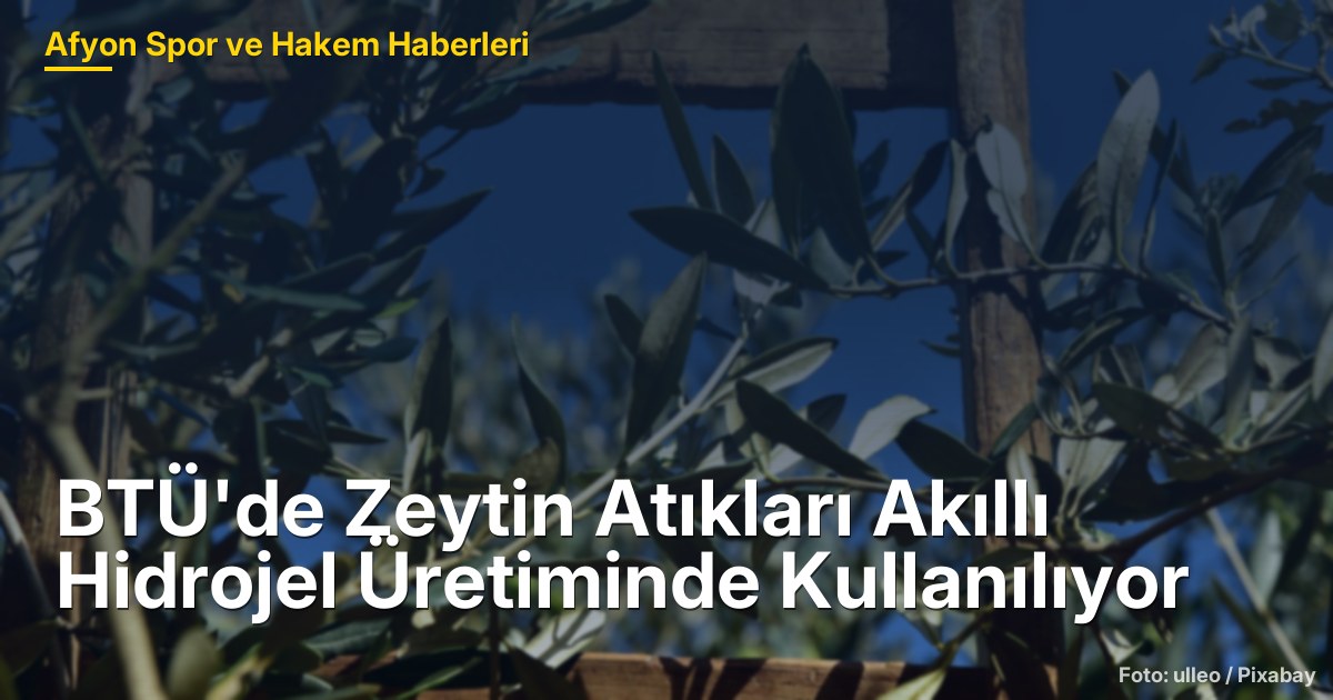 BTÜ'de Zeytin Atıkları Akıllı Hidrojel Üretiminde Kullanılıyor