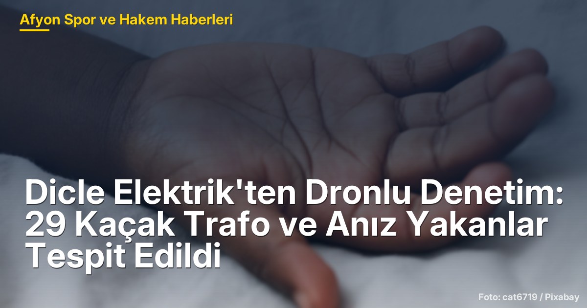 Dicle Elektrik'ten Dronlu Denetim: 29 Kaçak Trafo ve Anız Yakanlar Tespit Edildi