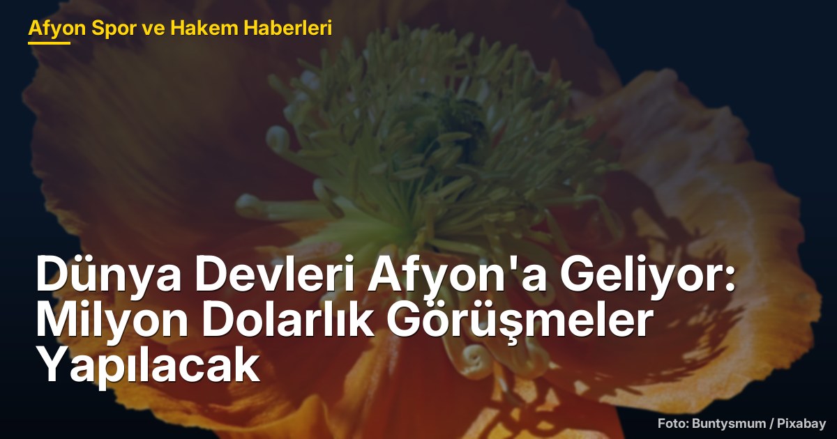 Dünya Devleri Afyon'a Geliyor: Milyon Dolarlık Görüşmeler Yapılacak