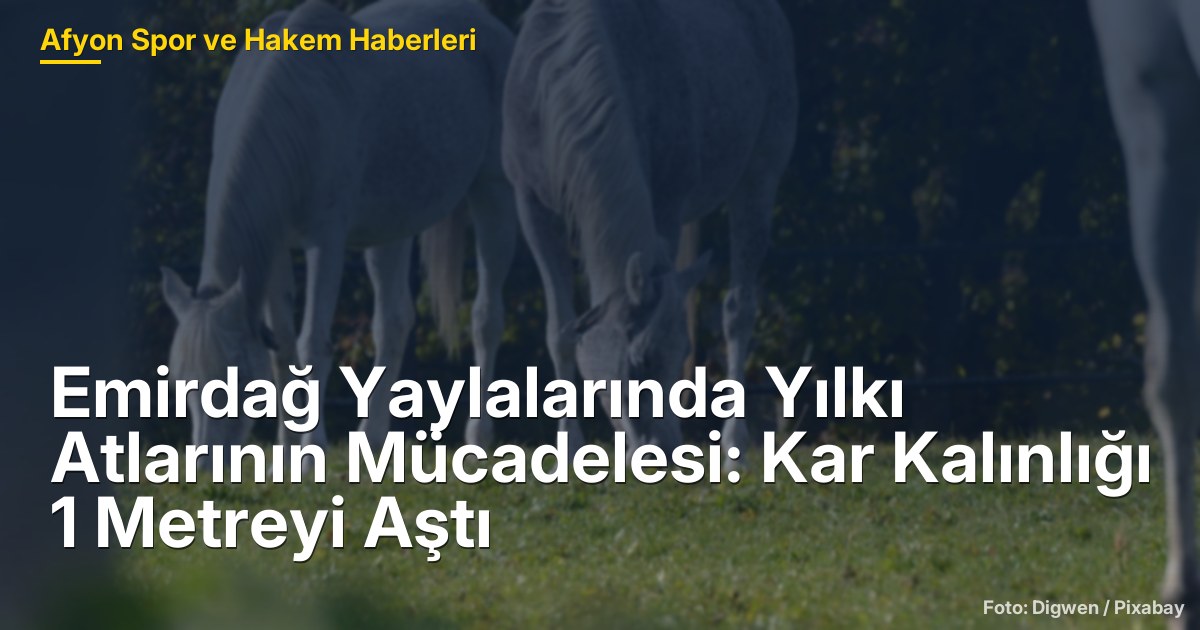 Emirdağ Yaylalarında Yılkı Atlarının Mücadelesi: Kar Kalınlığı 1 Metreyi Aştı