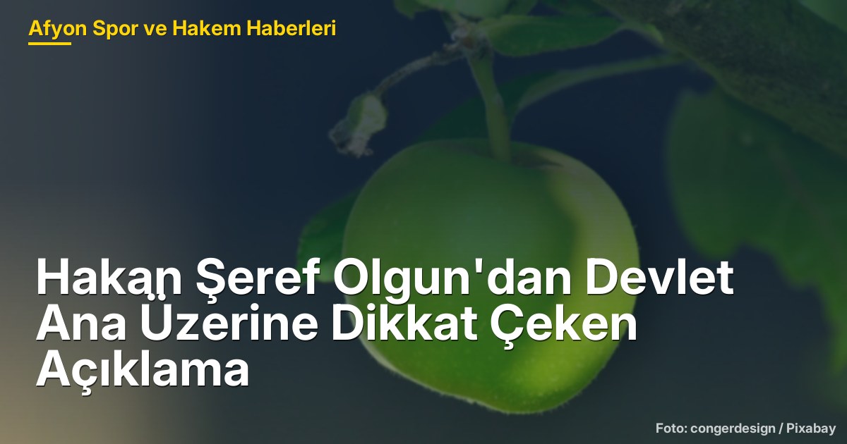 Hakan Şeref Olgun'dan Devlet Ana Üzerine Dikkat Çeken Açıklama