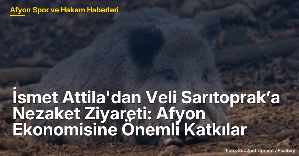 İsmet Attila'dan Veli Sarıtoprak’a Nezaket Ziyareti: Afyon Ekonomisine Önemli Katkılar