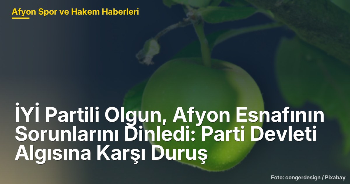 İYİ Partili Olgun, Afyon Esnafının Sorunlarını Dinledi: Parti Devleti Algısına Karşı Duruş