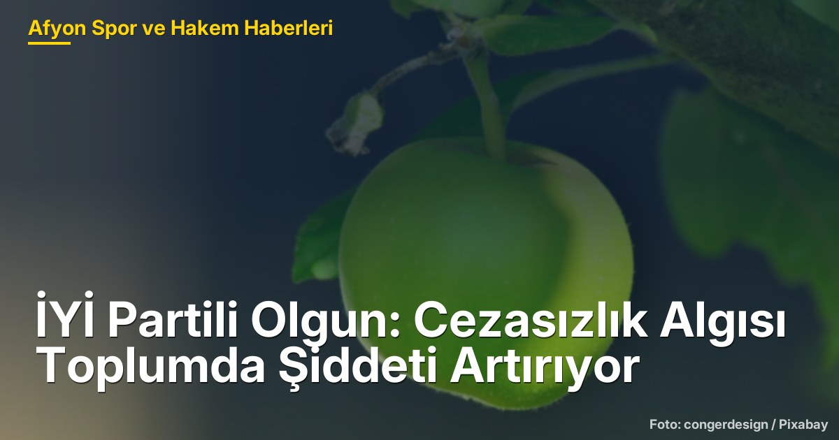 İYİ Partili Olgun: Cezasızlık Algısı Toplumda Şiddeti Artırıyor