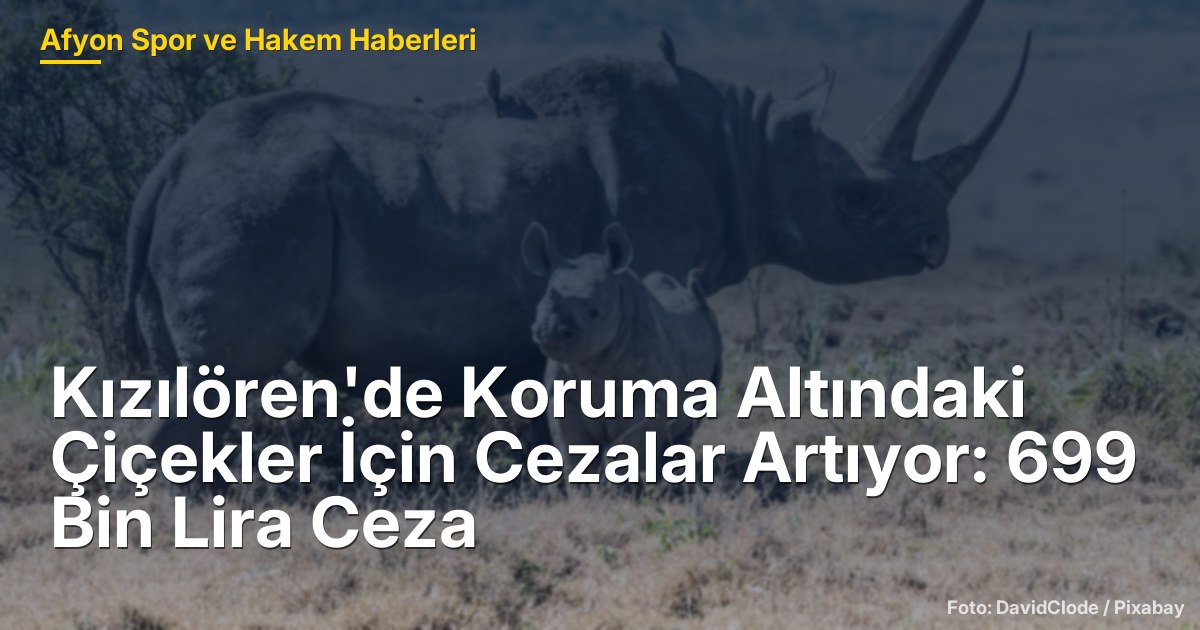 Kızılören'de Koruma Altındaki Çiçekler İçin Cezalar Artıyor: 699 Bin Lira Ceza
