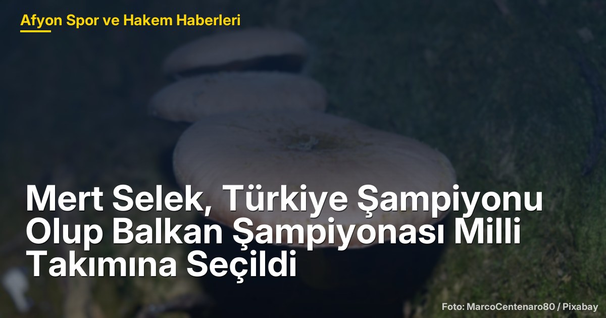 Mert Selek, Türkiye Şampiyonu Olup Balkan Şampiyonası Milli Takımına Seçildi