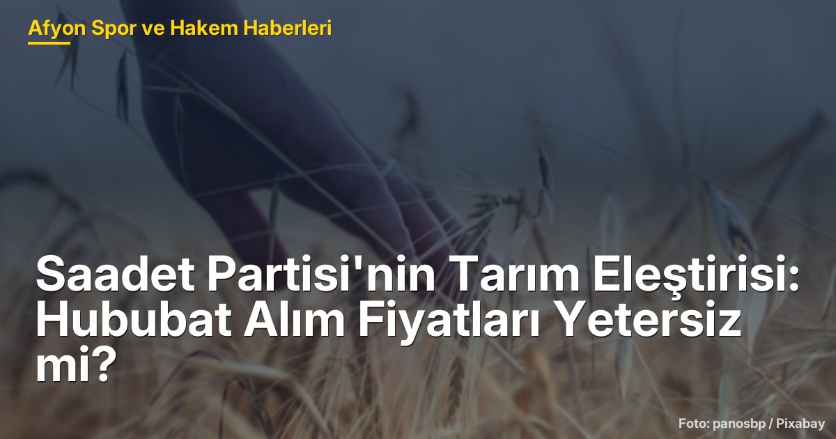 Saadet Partisi'nin Tarım Eleştirisi: Hububat Alım Fiyatları Yetersiz mi?