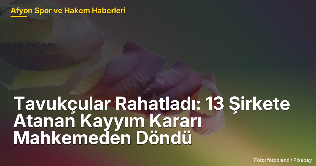 Tavukçular Rahatladı: 13 Şirkete Atanan Kayyım Kararı Mahkemeden Döndü