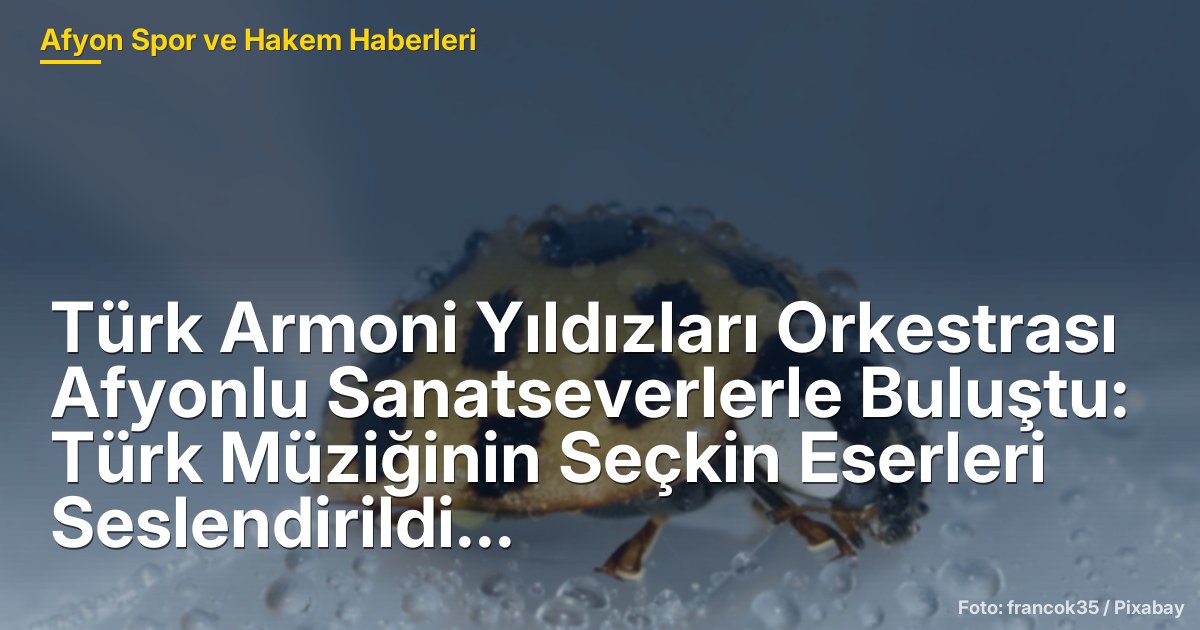 Türk Armoni Yıldızları Orkestrası Afyonlu Sanatseverlerle Buluştu: Türk Müziğinin Seçkin Eserleri Seslendirildi