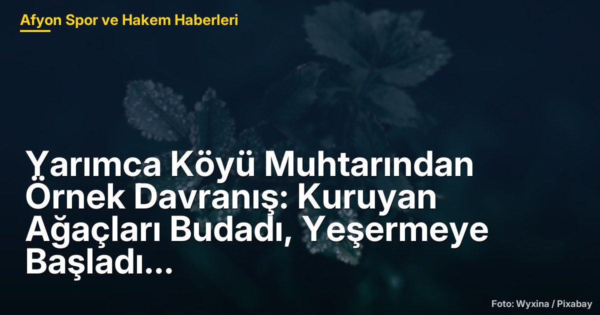Yarımca Köyü Muhtarından Örnek Davranış: Kuruyan Ağaçları Budadı, Yeşermeye Başladı