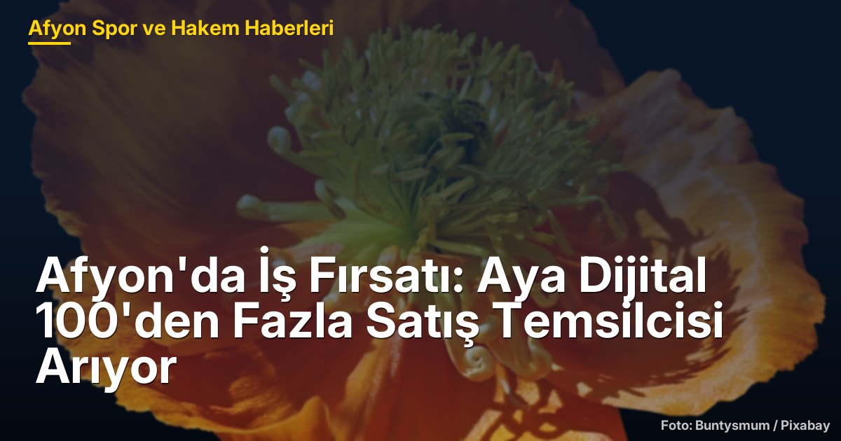 Afyon'da İş Fırsatı: Aya Dijital 100'den Fazla Satış Temsilcisi Arıyor