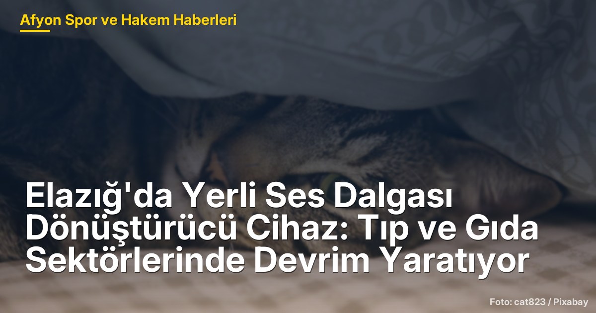 Elazığ'da Yerli Ses Dalgası Dönüştürücü Cihaz: Tıp ve Gıda Sektörlerinde Devrim Yaratıyor