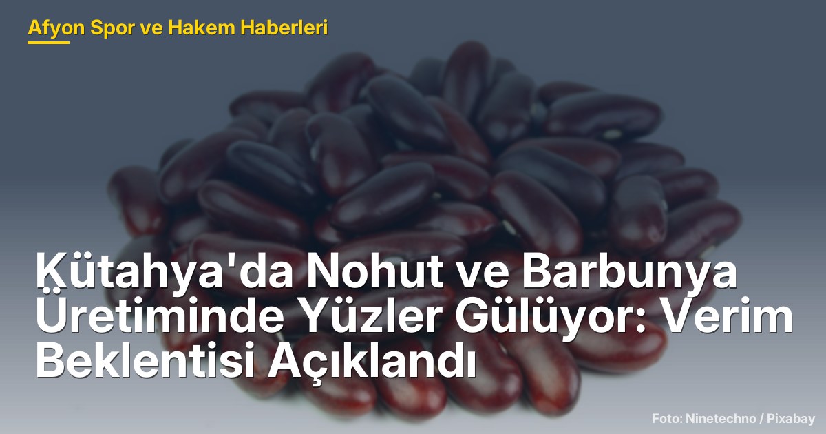 Kütahya'da Nohut ve Barbunya Üretiminde Yüzler Gülüyor: Verim Beklentisi Açıklandı