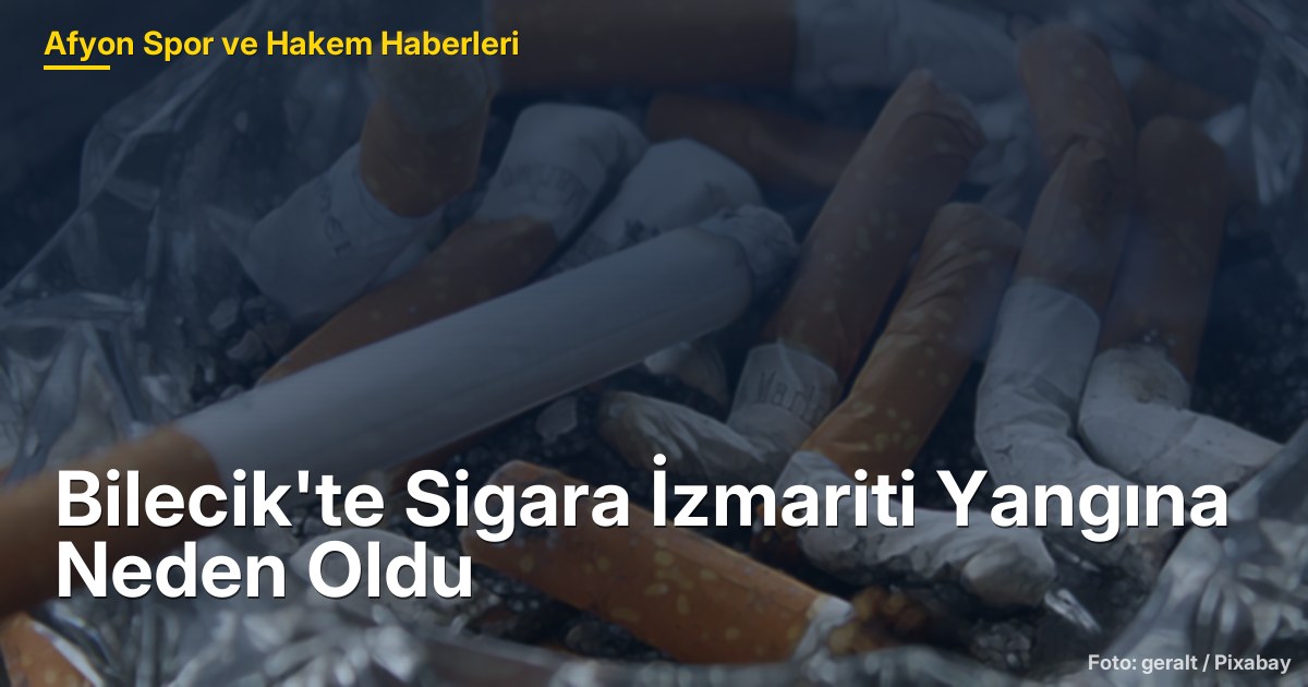 Bilecik'te Sigara İzmariti Yangına Neden Oldu