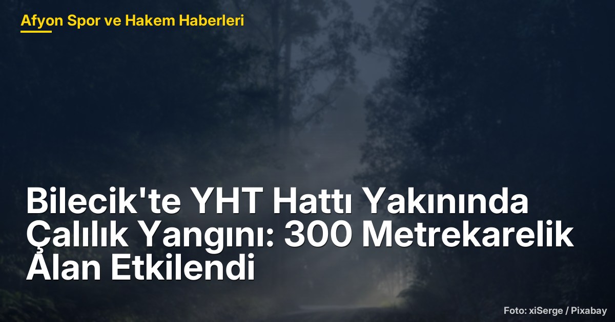 Bilecik'te YHT Hattı Yakınında Çalılık Yangını: 300 Metrekarelik Alan Etkilendi