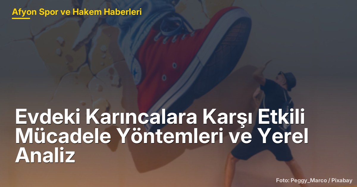 Afyonkarahisar'da Karıncalara Karşı Etkili Mücadele Yöntemleri ve Yerel Analiz