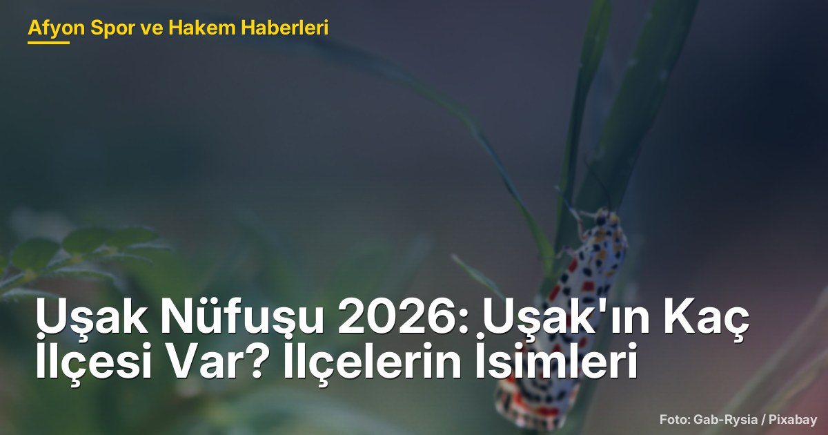 Uşak Nüfusu 2026: Uşak'ın Kaç İlçesi Var? İlçelerin İsimleri
