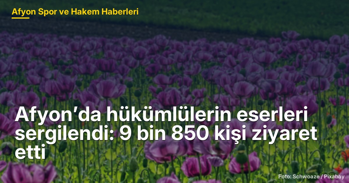 Afyon’da hükümlülerin eserleri sergilendi: 9 bin 850 kişi ziyaret etti