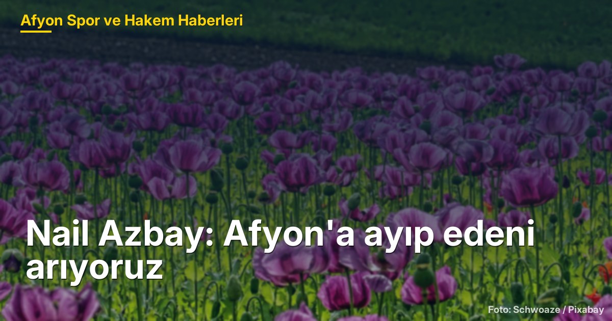 Nail Azbay: Afyon'a ayıp edeni arıyoruz